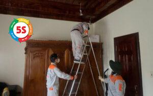 Phòng chống mối Nghệ An