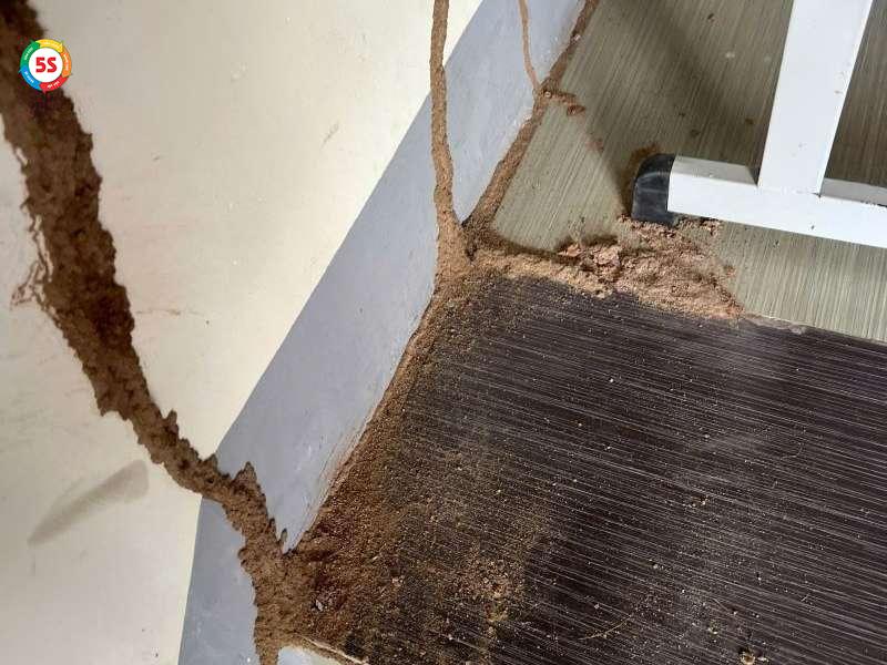 Diệt mối lâu dài Nghệ An