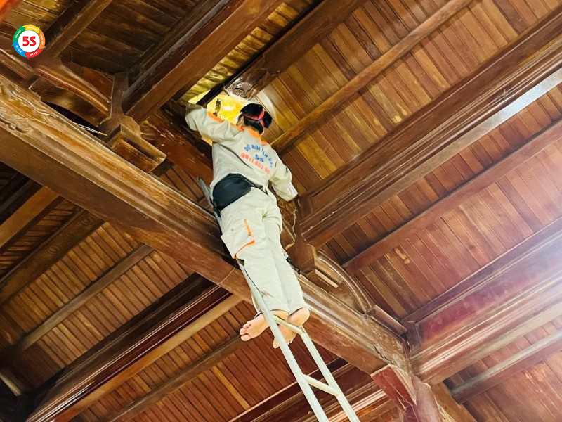 Diệt mối không độc hại Nghệ An