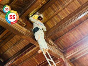 Diệt mối không độc hại Nghệ An