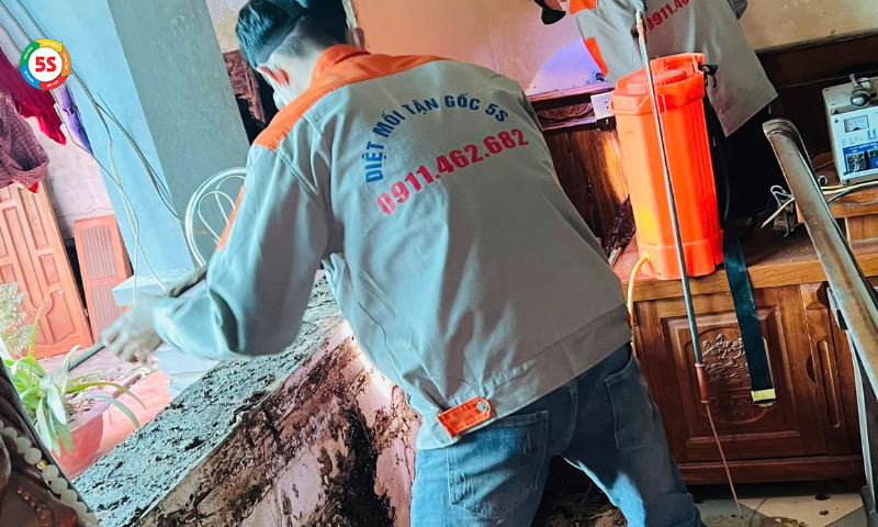 Diệt mối công trình Nghệ An