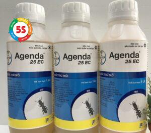 Thuốc diệt mối tận gốc Nghệ An