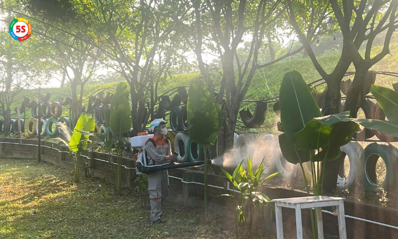 Cách phun thuốc muỗi