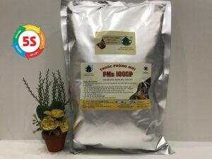 Thuốc diệt mối dạng bột