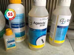 Thuốc diệt mối mọt gỗ